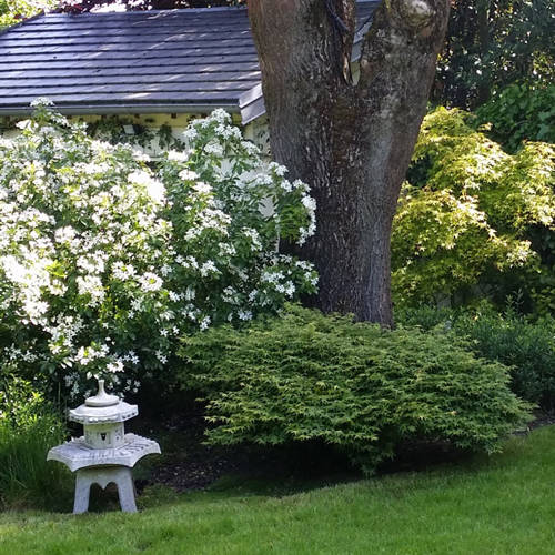 Les Jardins à l'Ancienne, Jardin japonais, conception paysagère, nicolas gobert