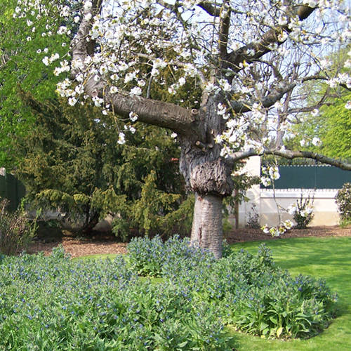 Les Jardins à l'Ancienne, paysage art nouveau, jardin art nouveau, conception paysagère, nicolas gobert