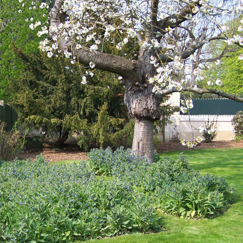 Les Jardins à l'Ancienne, art nouveau garden, landscape design, nicolas gobert