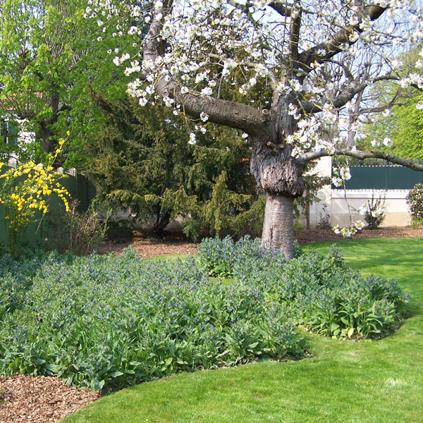 Les Jardins à l'Ancienne, SCI Lareinty, , conception paysagère, nicolas gobert