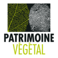 Patrimoine Végétal