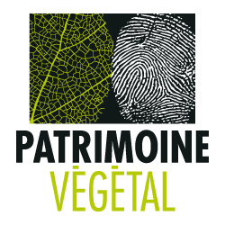 Patrimoine Végétal
