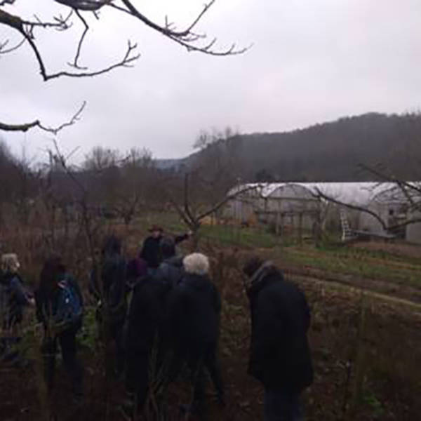 formation classe capa ma du chep taille fruitière ferme bec hellouin