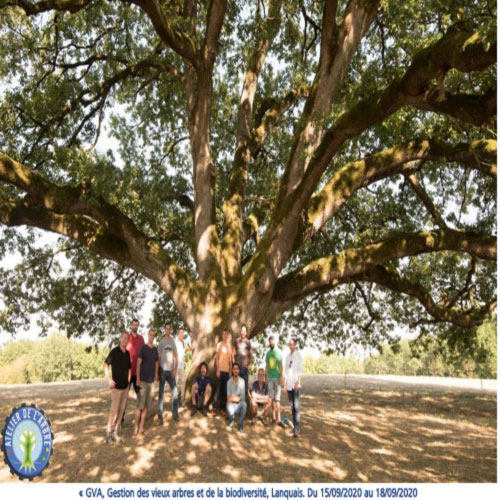 photo groupe atelier arbre GVA