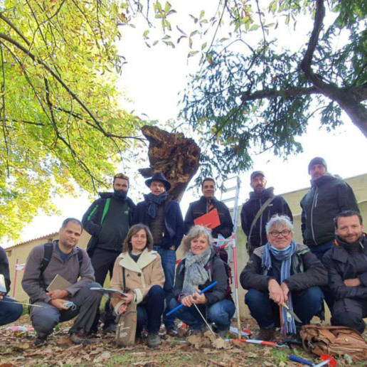 atelier arbre groupe biologie champignons