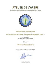 certificate followed by internship tree architecture
