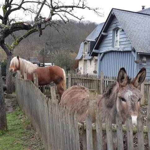 ferme du bec hellouin