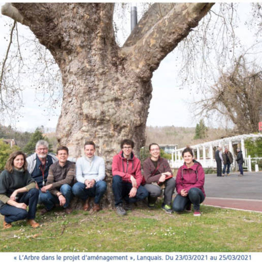 photogroupe atelier arbre projet amenagement