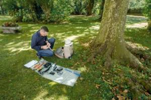 préparation expertise arboricole