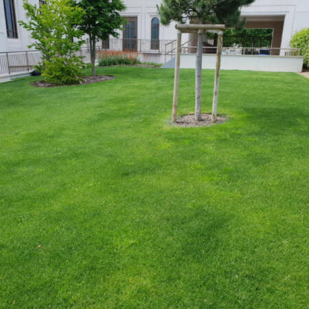 Les Jardins à l'Ancienne, entretien pelouse