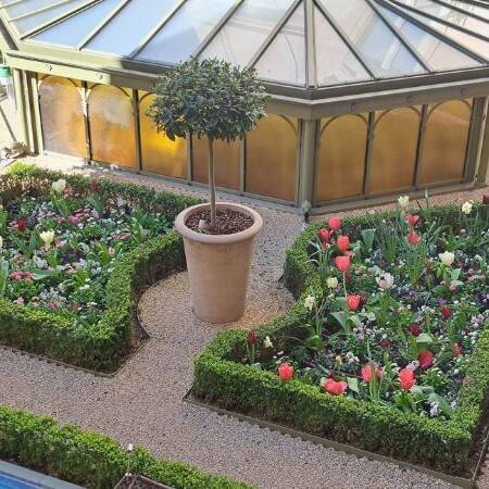 Les Jardins à l'Ancienne, hotel, Paris, toit-terrasse, floraison, Printemps, bisannuelles, bulbes, Nicolas Gobert, jardinier, paysagiste, jardin à la francaise, Viroflay