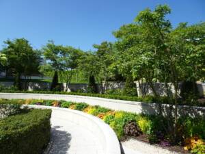 Les Jardins à l'Ancienne, fleurissements, printemps, vivaces, arbustes, conifères, topiaires, rosiers, plantes de terres de bruyères, Nicolas Gobert, jardinier, paysagiste, Viroflay, Le Chesnay, Chaville, Versailles