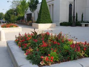 Les Jardins à l'Ancienne, décorations estivales, fleurissements, jardin, amendements bio, tapis fleuris, jardinier, paysagiste, Nicolas Gobert, Viroflay, Le Chesnay, Versailles, Chaville