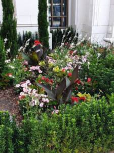 Les Jardins à l'Ancienne, décorations estivales, fleurissements, jardin, amendements bio, tapis fleuris, jardinier, paysagiste, Nicolas Gobert, Viroflay, Le Chesnay, Versailles, Chaville