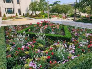 Les Jardins à l'Ancienne, décorations estivales, fleurissements, jardin, amendements bio, tapis fleuris, jardinier, paysagiste, Nicolas Gobert, Viroflay, Le Chesnay, Versailles, Chaville