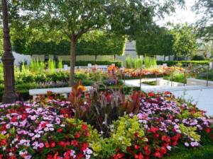 Les Jardins à l'Ancienne, décorations estivales, fleurissements, jardin, amendements bio, tapis fleuris, jardinier, paysagiste, Nicolas Gobert, Viroflay, Le Chesnay, Versailles, Chaville