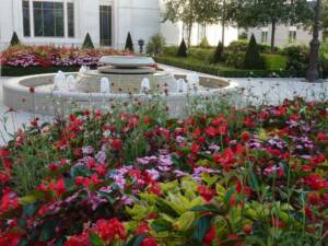 Les Jardins à l'Ancienne, décorations estivales, fleurissements, jardin, amendements bio, tapis fleuris, jardinier, paysagiste, Nicolas Gobert, Viroflay, Le Chesnay, Versailles, Chaville