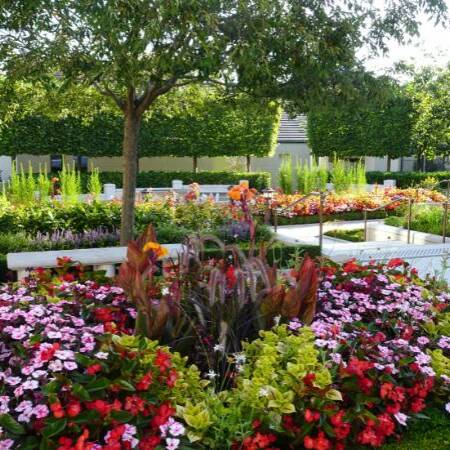 Les Jardins à l'Ancienne, décorations estivales, fleurissements, jardin, amendements bio, tapis fleuris, jardinier, paysagiste, Nicolas Gobert, Viroflay, Le Chesnay, Versailles, Chaville