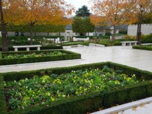 Les Jardins à l'Ancienne, décorations automnales, fleurissements, jardin, amendements bio, tapis fleuris, bisannuelles, bulbes, jardinier, paysagiste, Nicolas Gobert, Viroflay, Le Chesnay, Versailles, Chaville