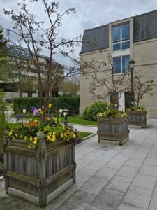 Les Jardins à l'Ancienne, tapis fleuris, floraison, printemps, spirituel, jardin spirituel, Nicolas Gobert, Le Chesnay, Viroflay, jardin à la française, temple de paris, bisannuelles, bulbes, jardinier, paysagiste, BIO3G, Les Floriades de l'Arnon, floraison printanière, fleurs, Orangerie