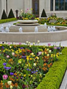 Les Jardins à l'Ancienne, tapis fleuris, floraison, printemps, spirituel, jardin spirituel, Nicolas Gobert, Le Chesnay, Viroflay, jardin à la française, temple de paris, bisannuelles, bulbes, jardinier, paysagiste, BIO3G, Les Floriades de l'Arnon, floraison printanière, fleurs