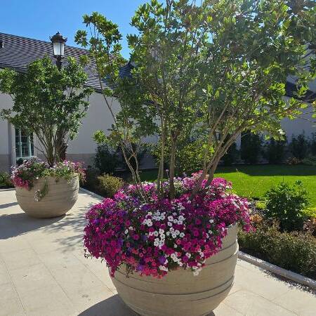 Décorations estivales_circle_600x450px Summer Decorations_circle_600x450px