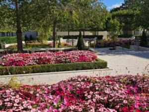 Les Jardins à l'Ancienne, décorations automnales, fleurissements, jardin, amendements bio, tapis fleuris, bisannuelles, bulbes, jardinier, paysagiste, Nicolas Gobert, Viroflay, Le Chesnay, Versailles, Chaville, conifères, topiaires, buxus sempervirens, buis de bordure